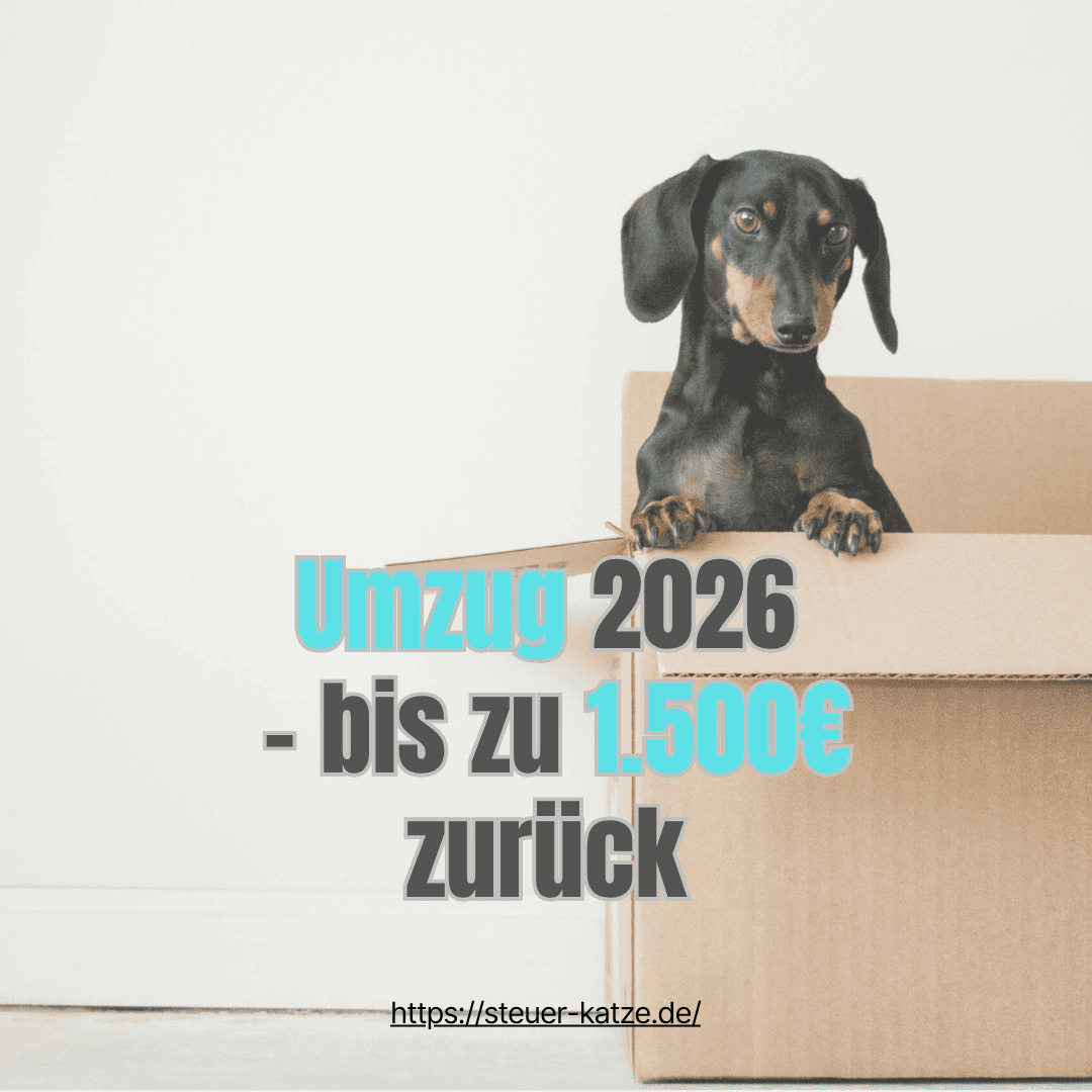 Hunde in Umzugskarton mit Text "Umzug 2026 bis zu 1500€ zurück".